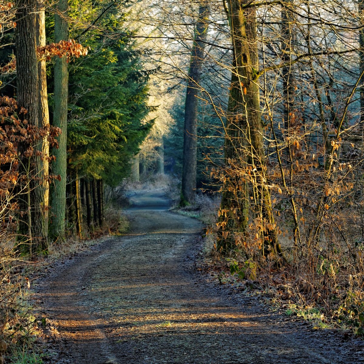 Tourismus Gemeinde Geslau